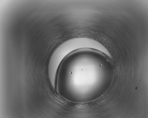 X0000067490756200604150041