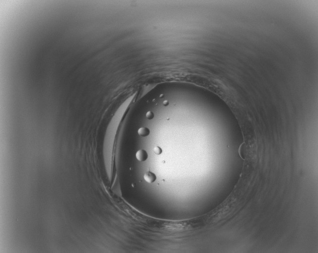 X0000067490757200604150041