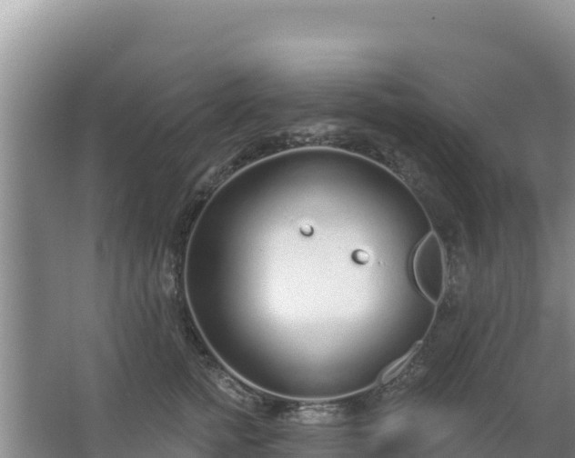 X0000067490758200604150041