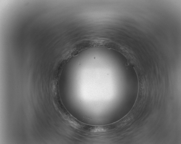 X0000067490759200604150041