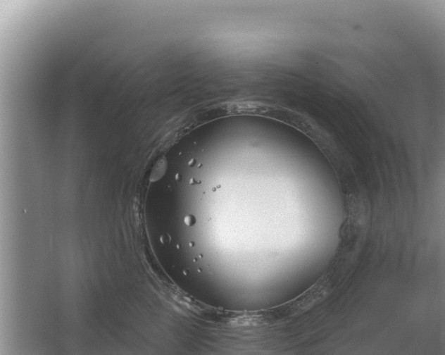 X0000067490761200604150042