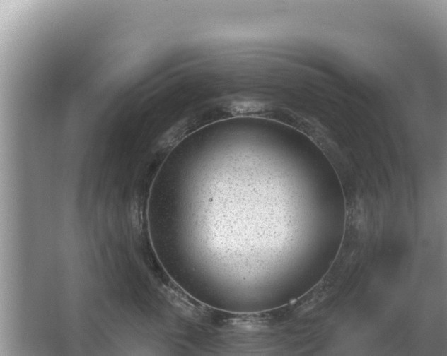 X0000067490763200604150042