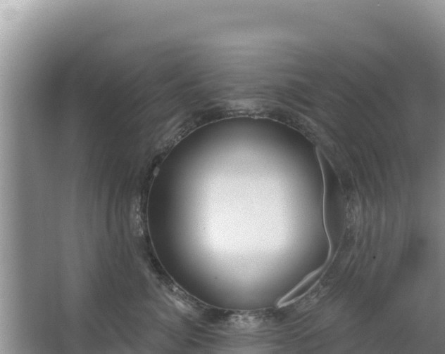 X0000067490764200604150042