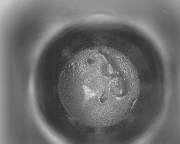 X0000067490765200604150042