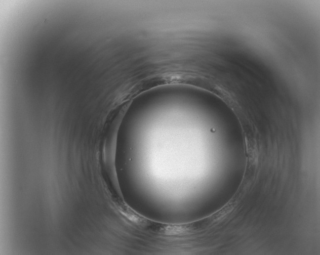 X0000067490766200604150042