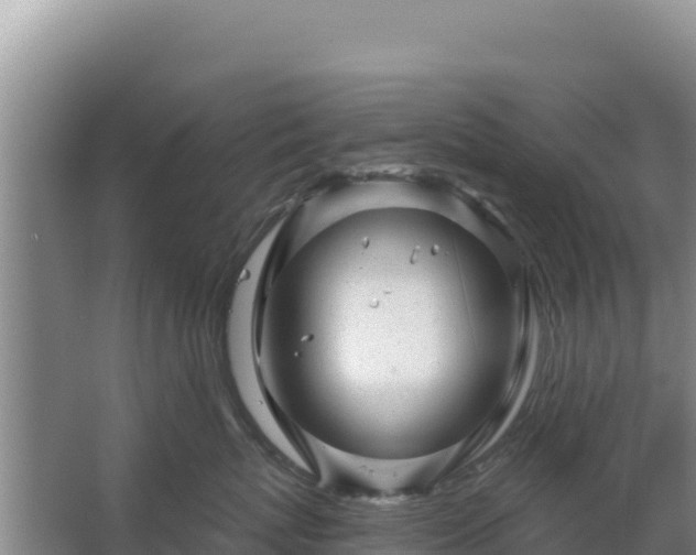 X0000067490767200604150042