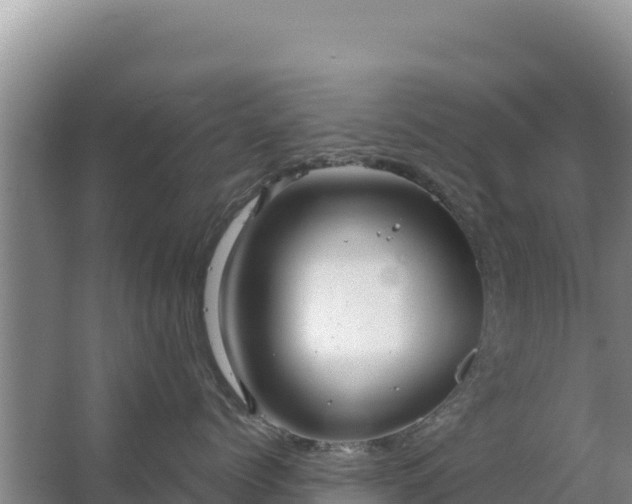 X0000067490768200604150042