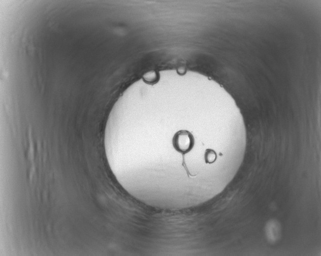 X0000067490769200604150041