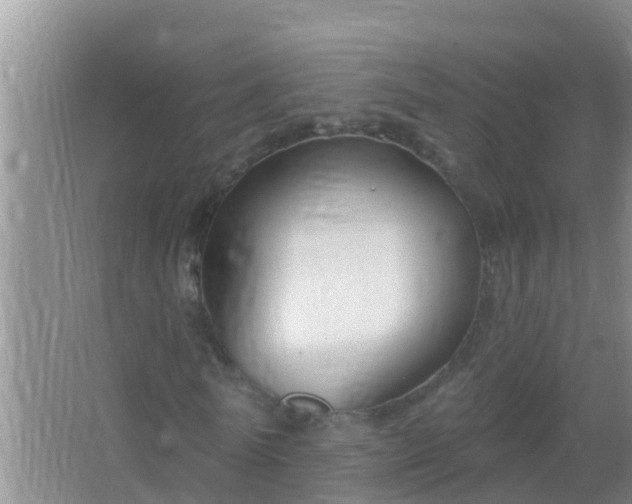 X0000067490770200604150041