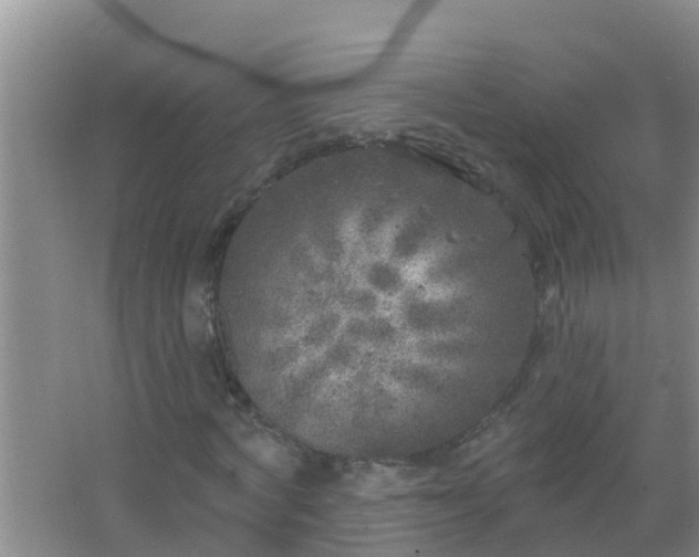 X0000067490772200604150041