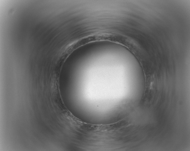 X0000067490773200604150041