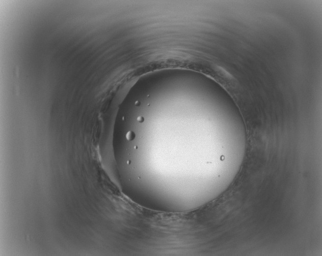 X0000067490774200604150041