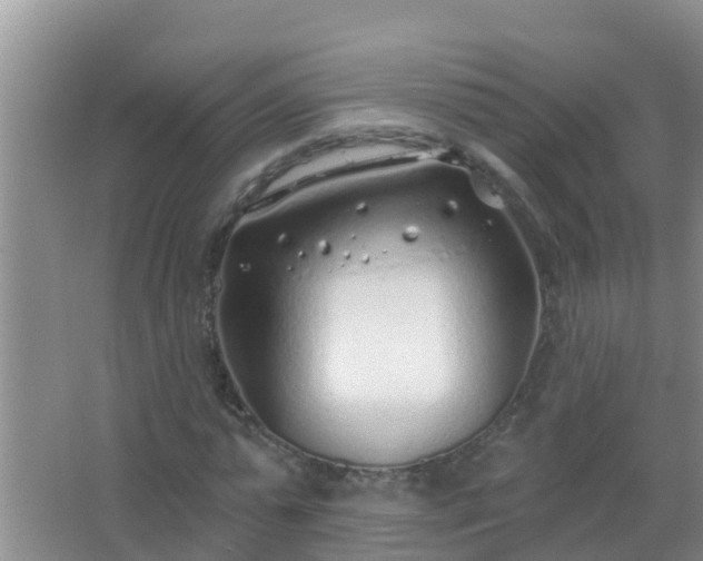 X0000067490775200604150041