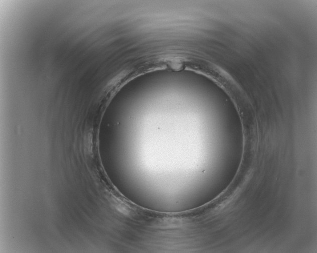 X0000067490777200604150041