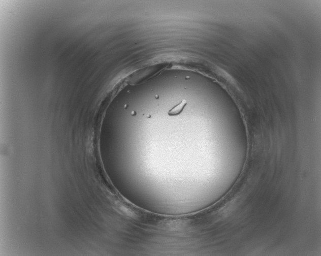 X0000067490778200604150041