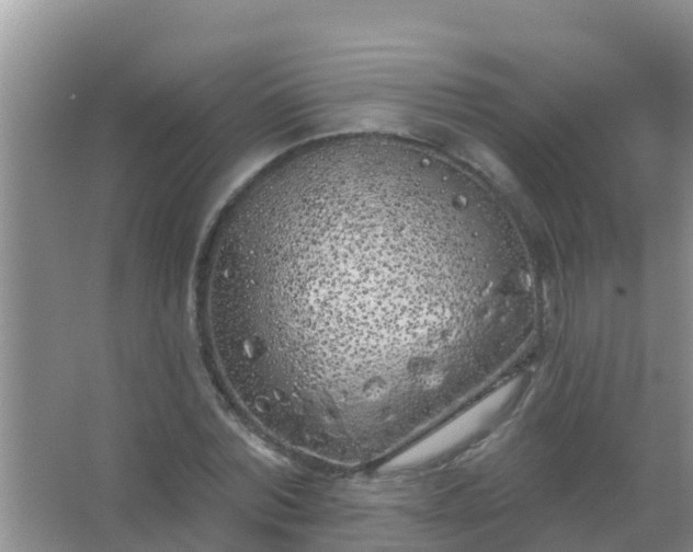 X0000067490780200604150041