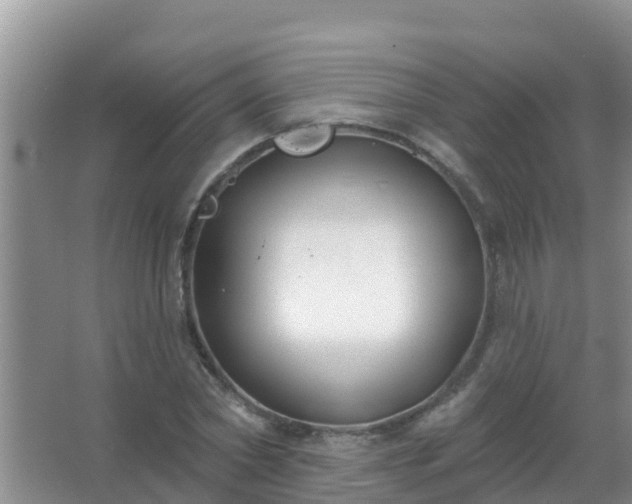 X0000067490782200604150041