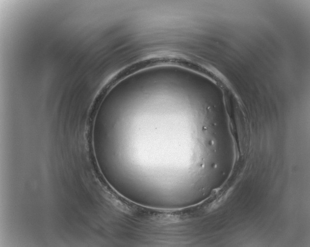 X0000067490783200604150041