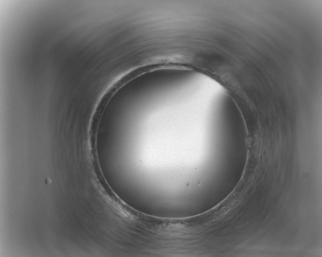 X0000067490784200604150041