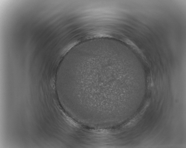 X0000067490785200604150041