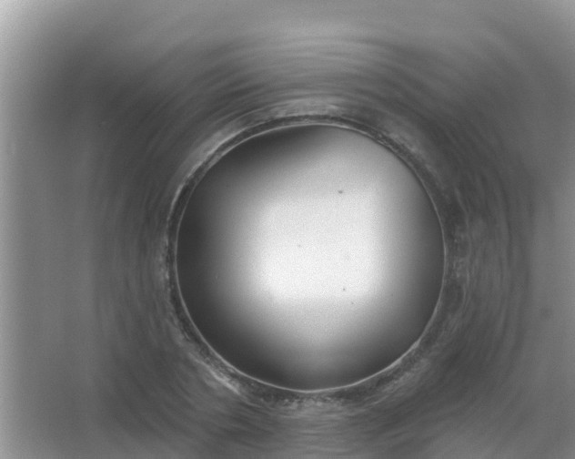 X0000067490786200604150041