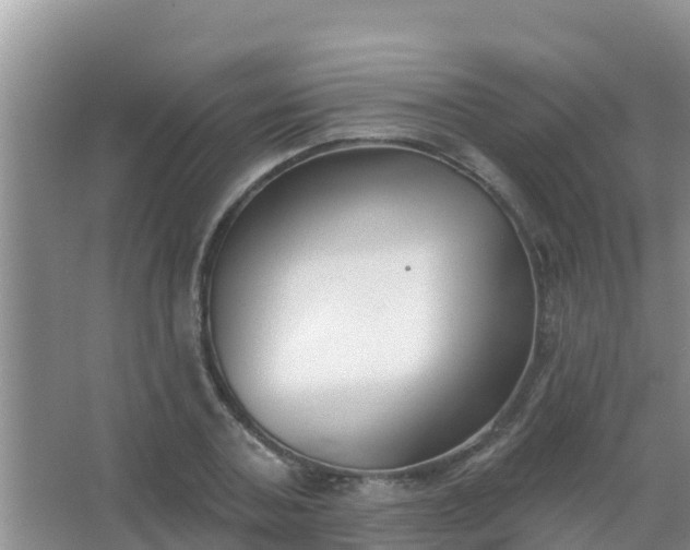 X0000067490787200604150041