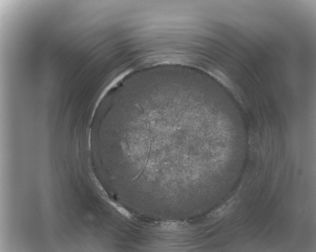 X0000067490790200604150040