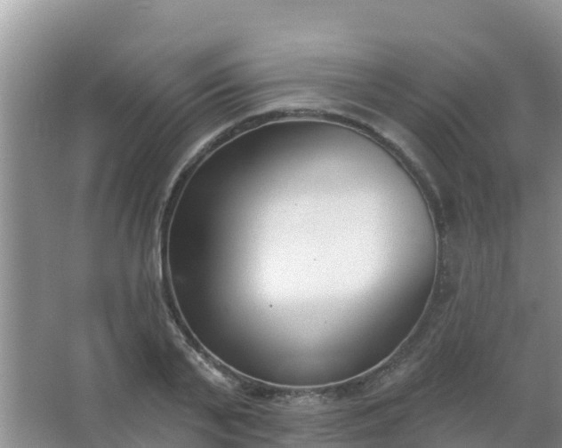 X0000067490791200604150040