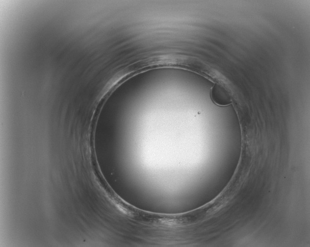 X0000067490794200604150040