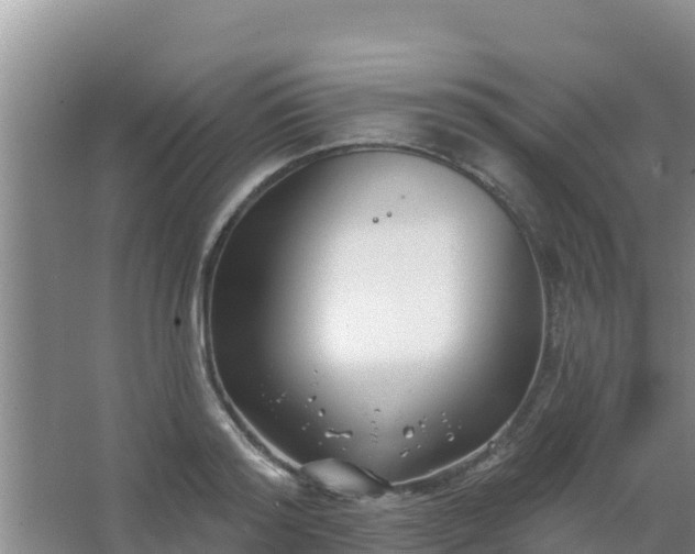 X0000067490796200604150040