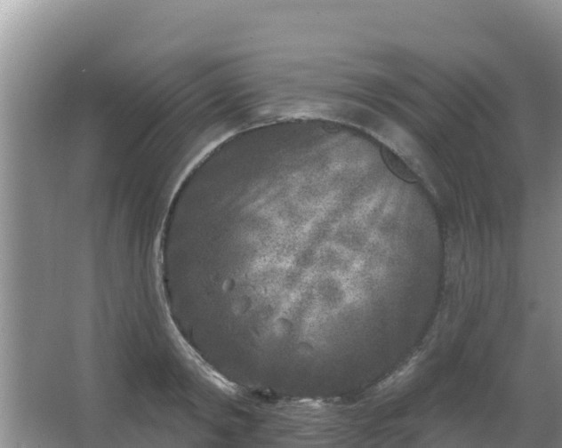 X0000067490798200604150040