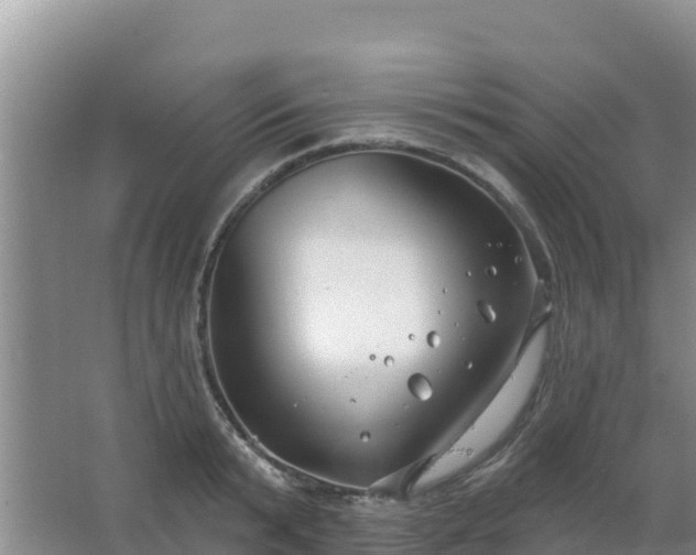 X0000067490799200604150040