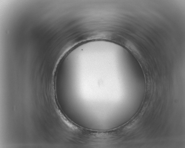 X0000067490800200604150040