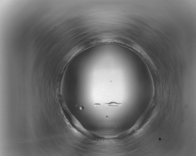 X0000067490801200604150040