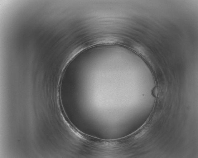 X0000067490802200604150040