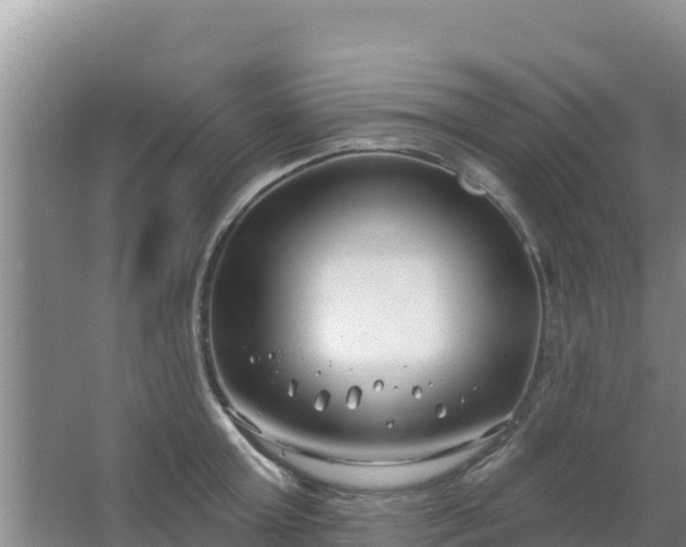 X0000067490803200604150040