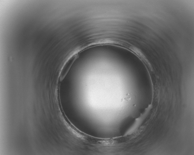 X0000067490805200604150040