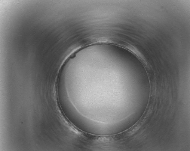 X0000067490806200604150040