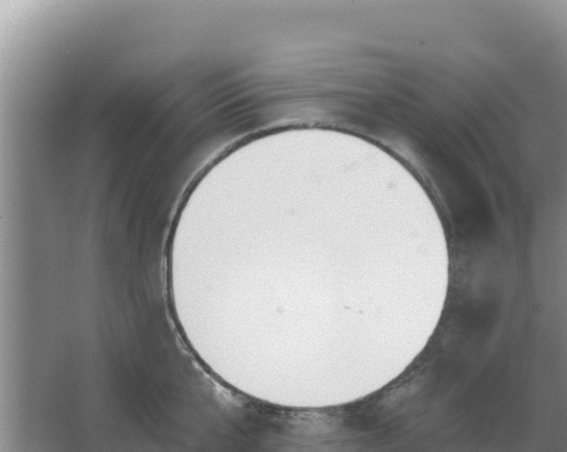 X0000067490807200604150040