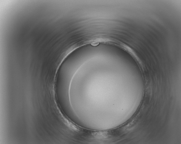 X0000067490810200604150040