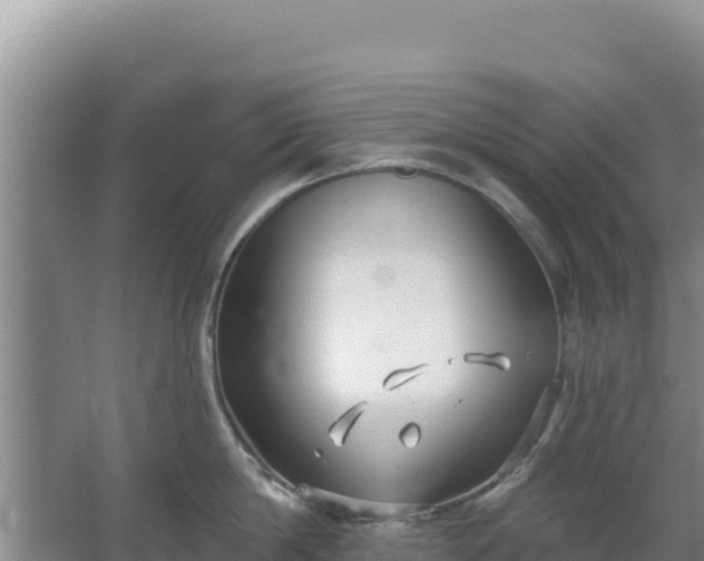 X0000067490814200604150040