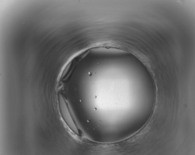 X0000067490816200604150040