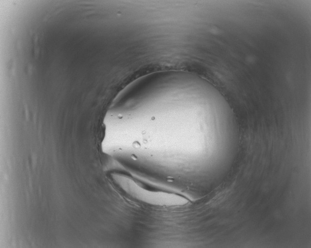 X0000067490817200604150039