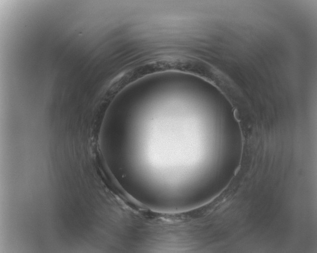 X0000067490822200604150039