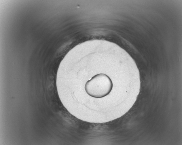 X0000067490824200604150039