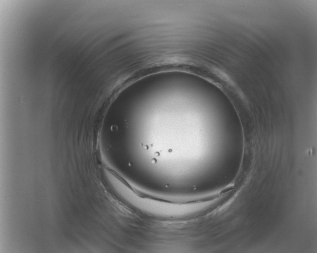 X0000067490825200604150039