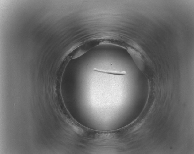 X0000067490826200604150039