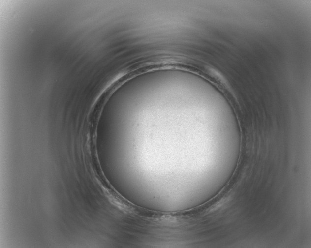 X0000067490827200604150039