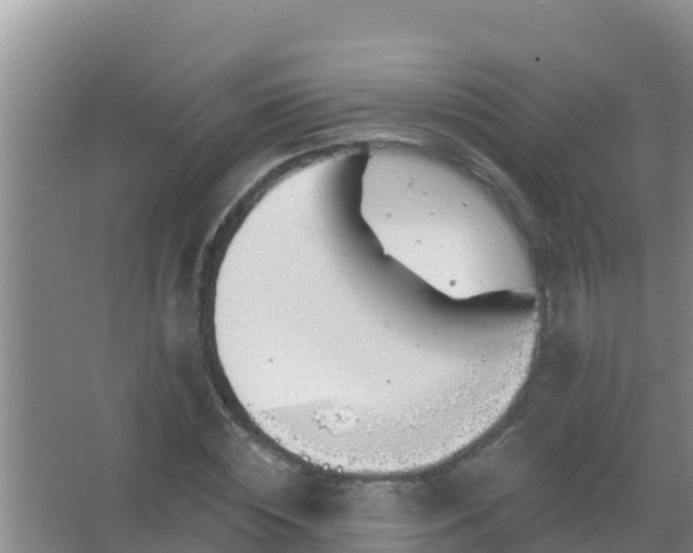 X0000067490828200604150039