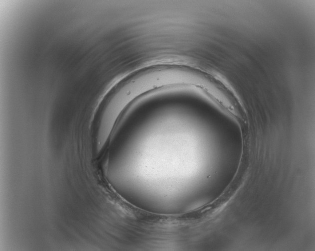 X0000067490829200604150039